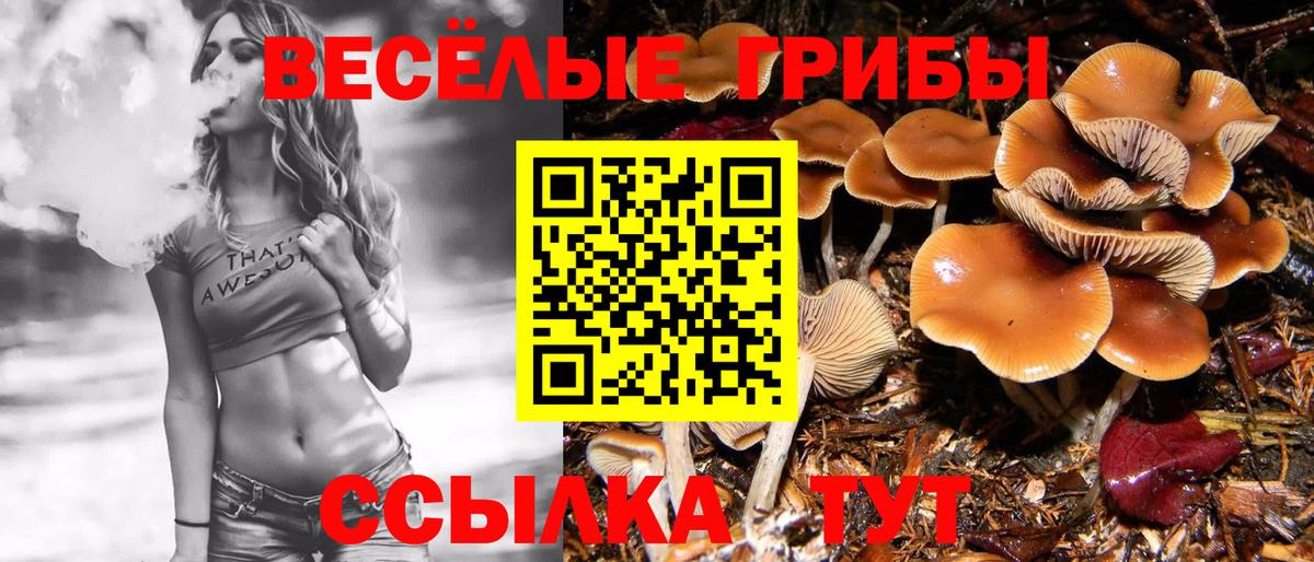 Галлюциногенные грибы мицелий  Галлюциногенные грибы MAGIC MUSHROOMS  Вход с VPN  что такое наркотик  Сокол 