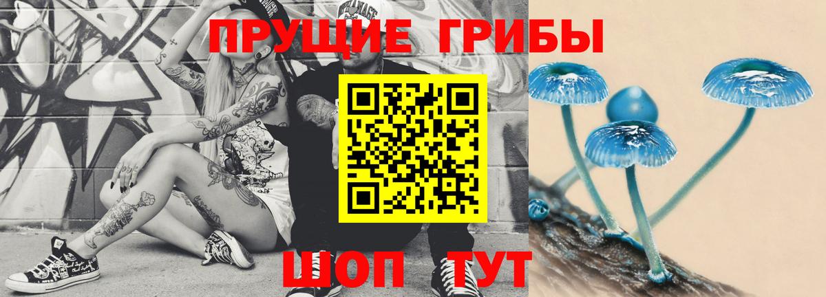 Галлюциногенные грибы мухоморы Сокол